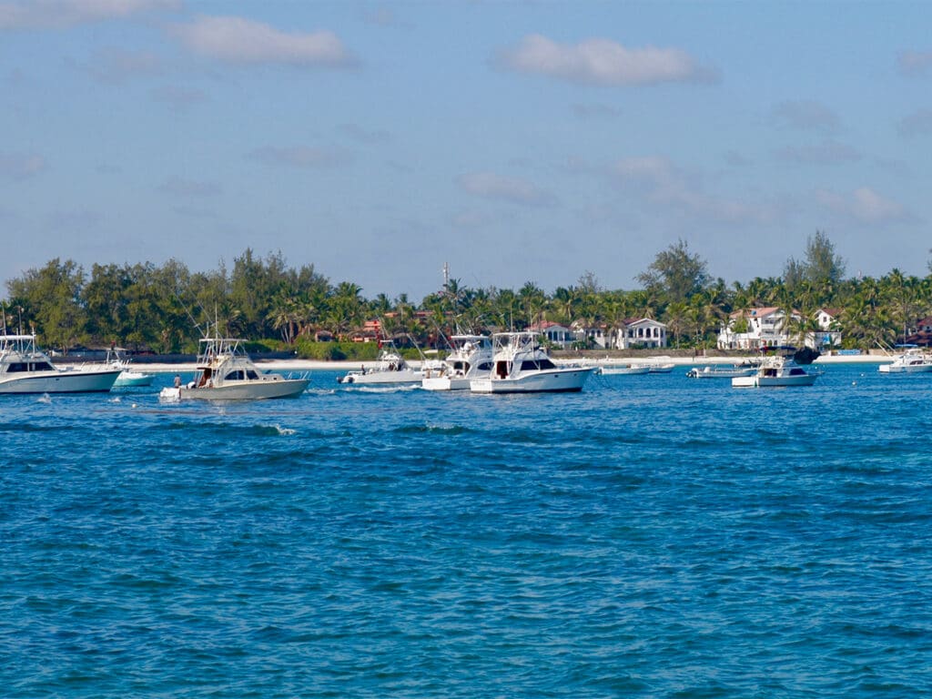 kenya billfish fleet
