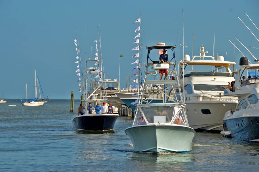 sailfish boats