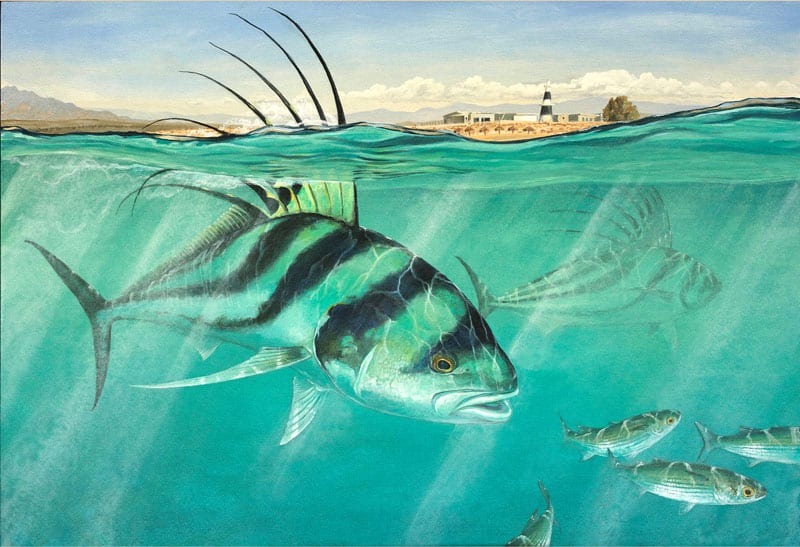 065_amadeo bachar.jpg