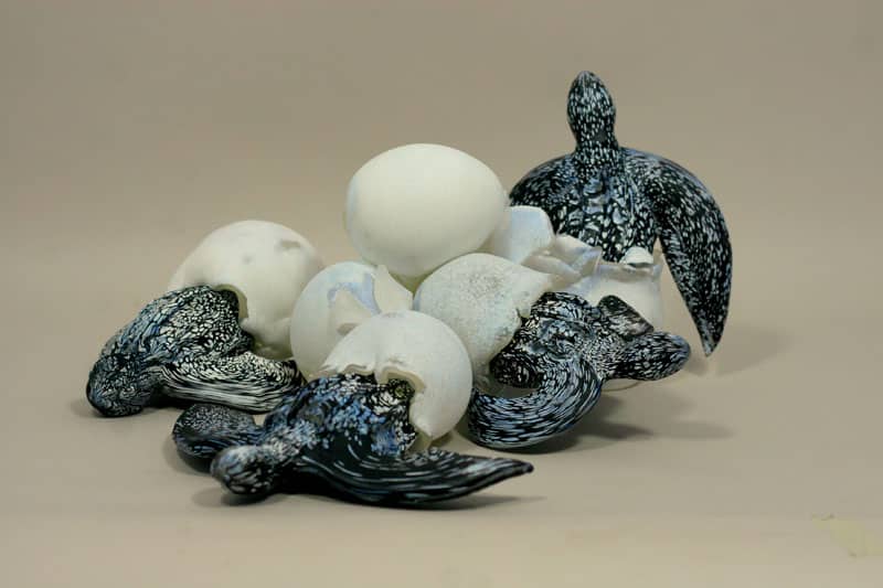 081_chris nicely_hatchlings 1.jpg