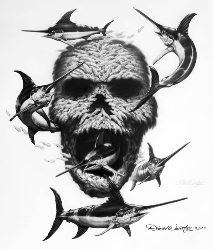 095a_david webster_squid skull b&w file adjusted.jpg