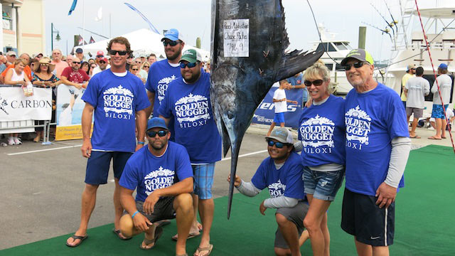a blue marlin at the 2018 mississippi gulf coast billfish classic