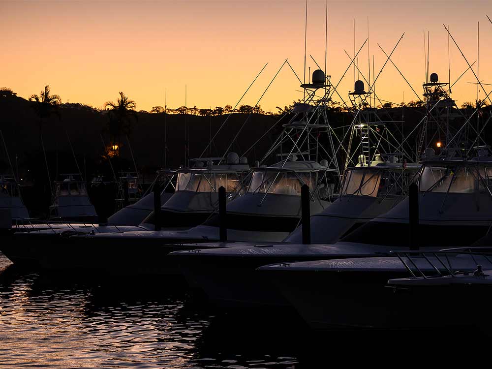 boats in a dock at sunset los suenos resort and marina