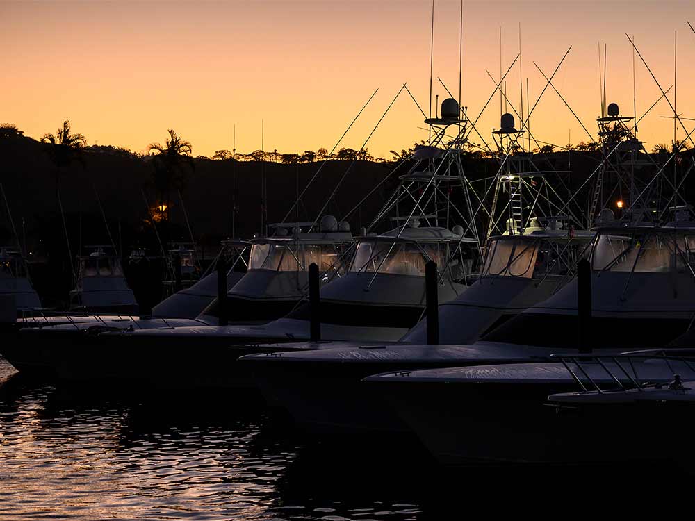 Los Sueños 2019 Signature Triple Crown Photo Gallery Marlin