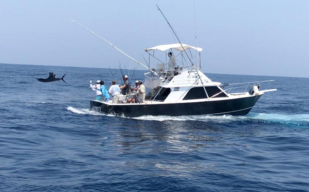 pacific fins resort 2018 guatemala billfish invitational sailfish