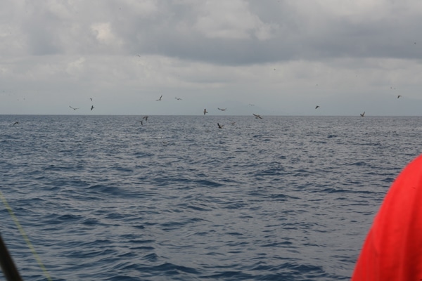 105-ri7u4543.jpg