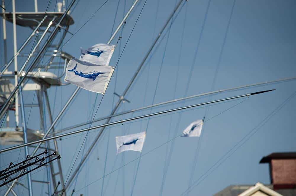 2018 bohicket invitational billfish tournament laundry day