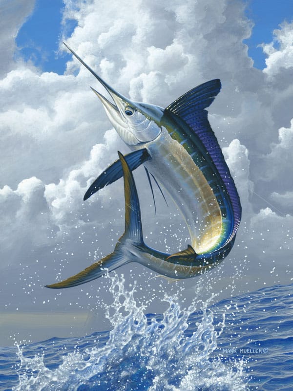 113_mark mueller - white-marlin.jpg