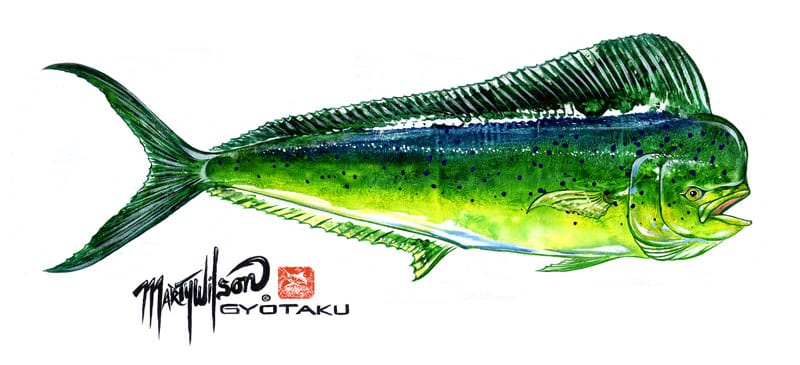 114_marty wilson_mahi gyotaku.jpg