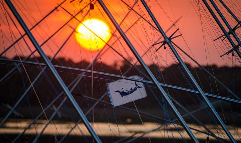 2018 bohicket invitational billfish tournament red sky at night