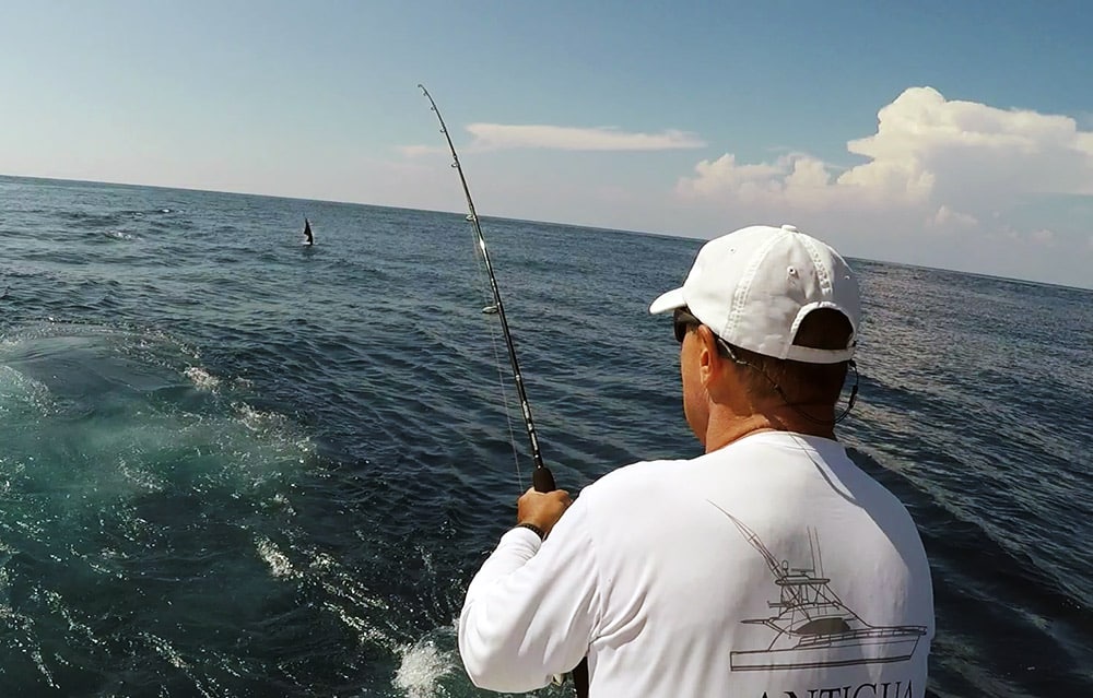 2018 offshore world championship day 4 fighting fish