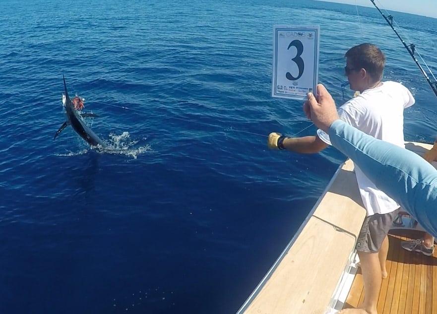 blue marlin jumping in Los Cabos Billfish Tournament