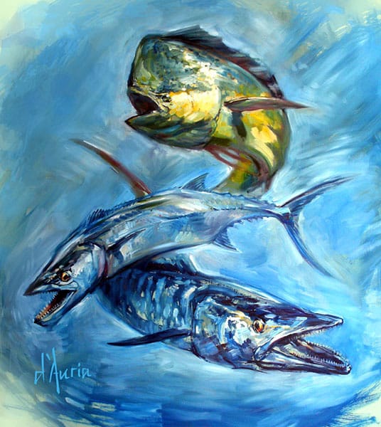 144_tom dauria _kingfish dolphin wahoo.jpg