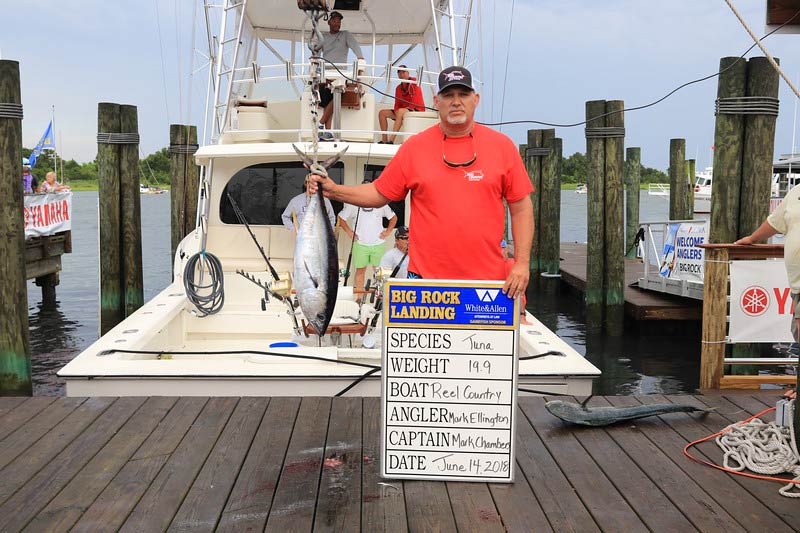 team reel country and tuna at 2018 big rock blue marlin tournament