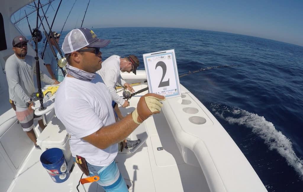 Los Cabos Billfish Tournament