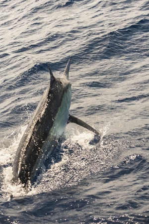 17-ri7u5315.jpg