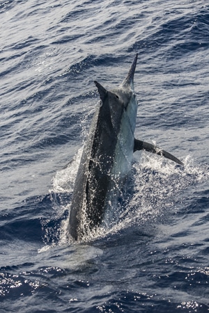 18-ri7u5314.jpg