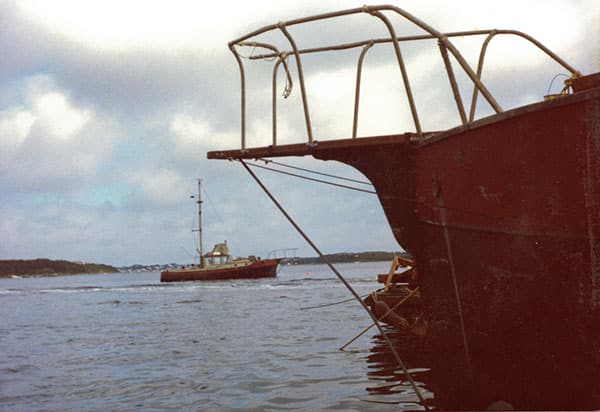 19-copy-(2).jpg