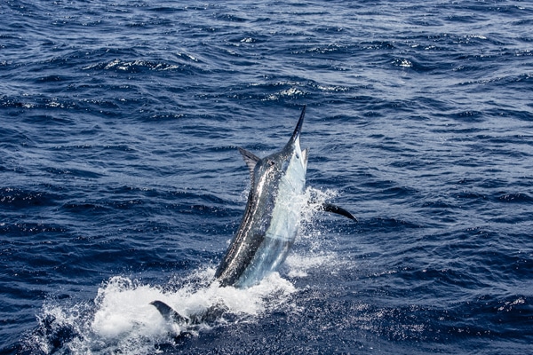 19-ri7u5313.jpg