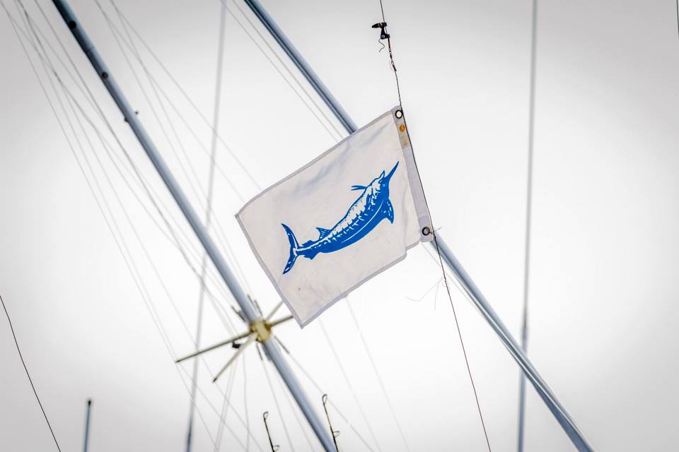 blue marlin release flag