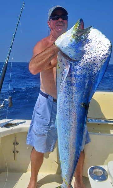 mahi mahi fishing