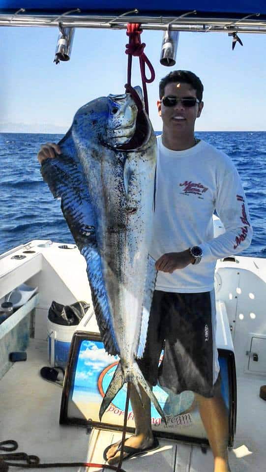 mahi mahi fishing