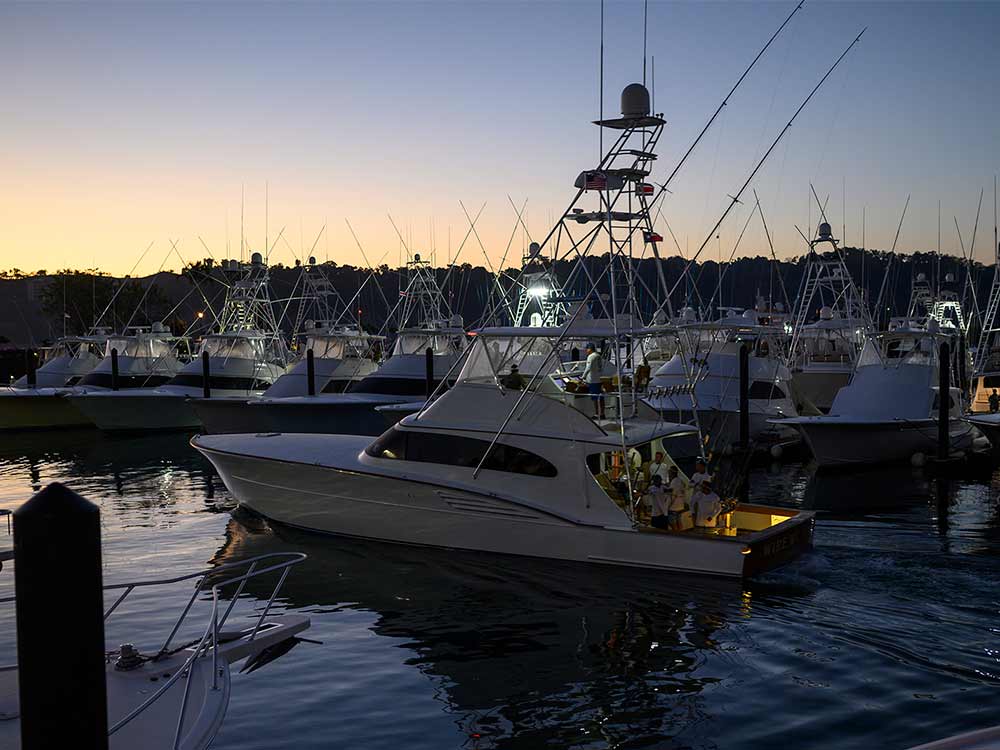 a boat navigating through the waterways at los suenos resort and marina