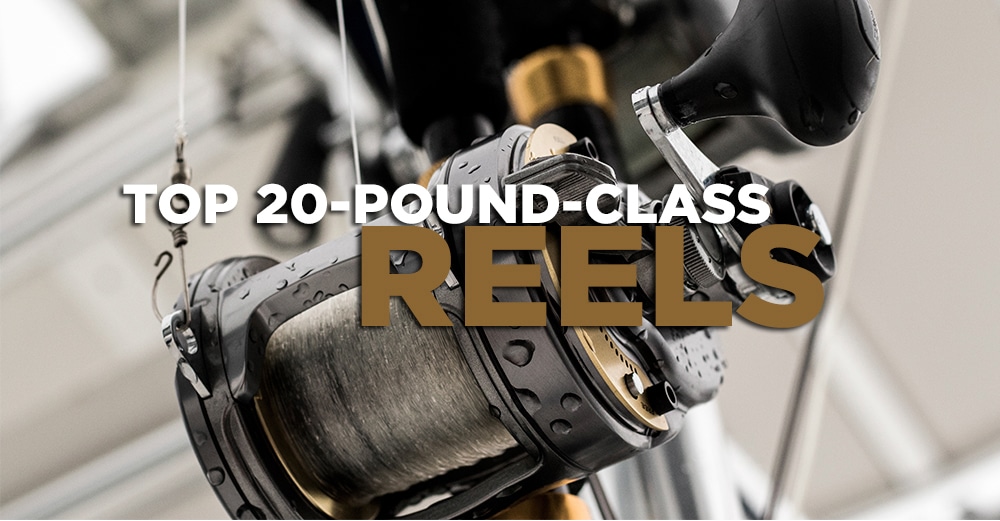 Top 20 pound class reels