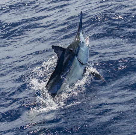 20-ri7u5299.jpg