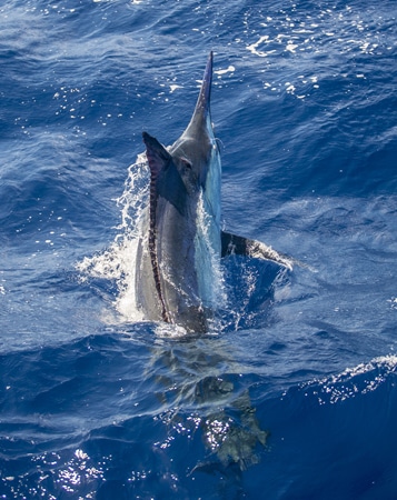 24-ri7u5286.jpg