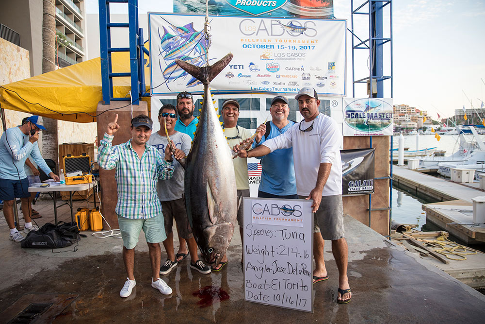 tuna fishing at Los Cabos Billfish Tournament