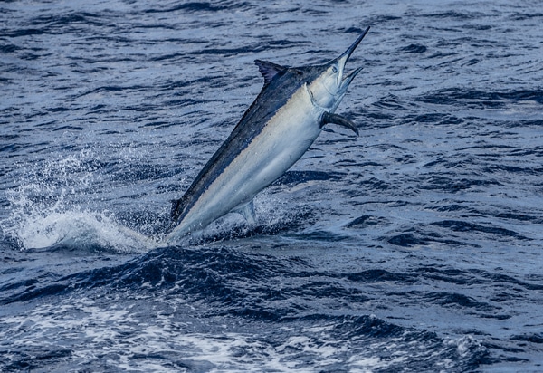 34-ri7u5253.jpg