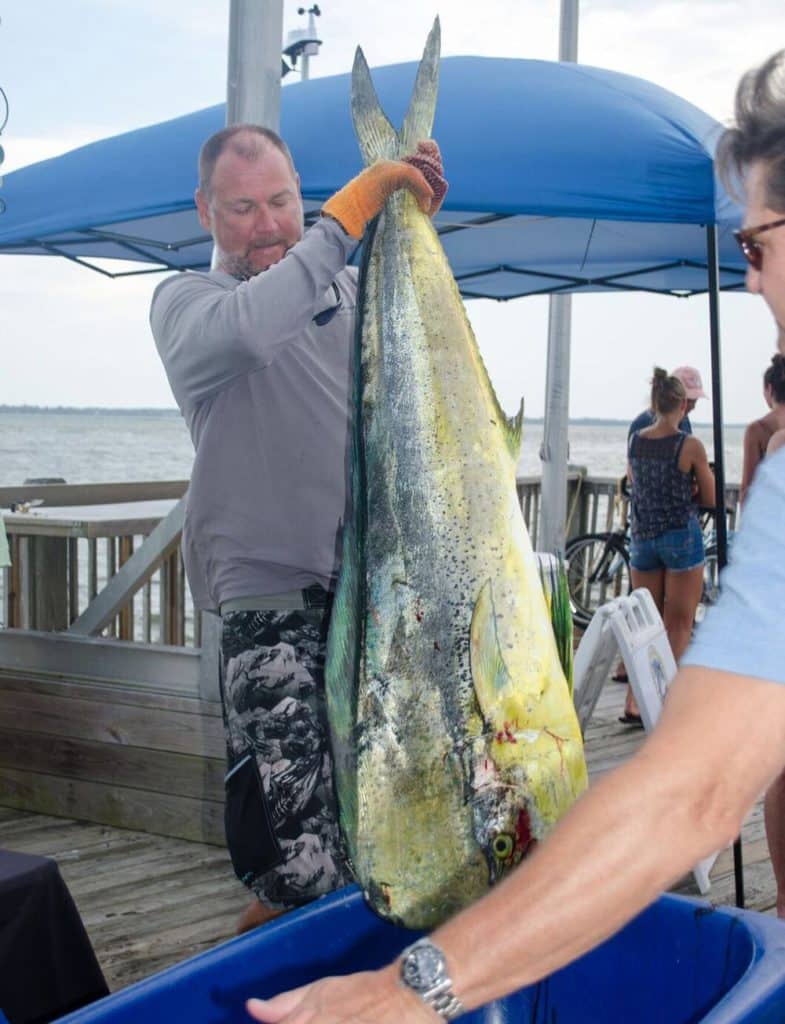 angler holding mahi at 2018 carolina billfish classic