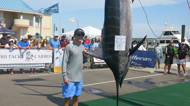 second place blue marlin at the 2018 mississippi gulf coast billfish classic