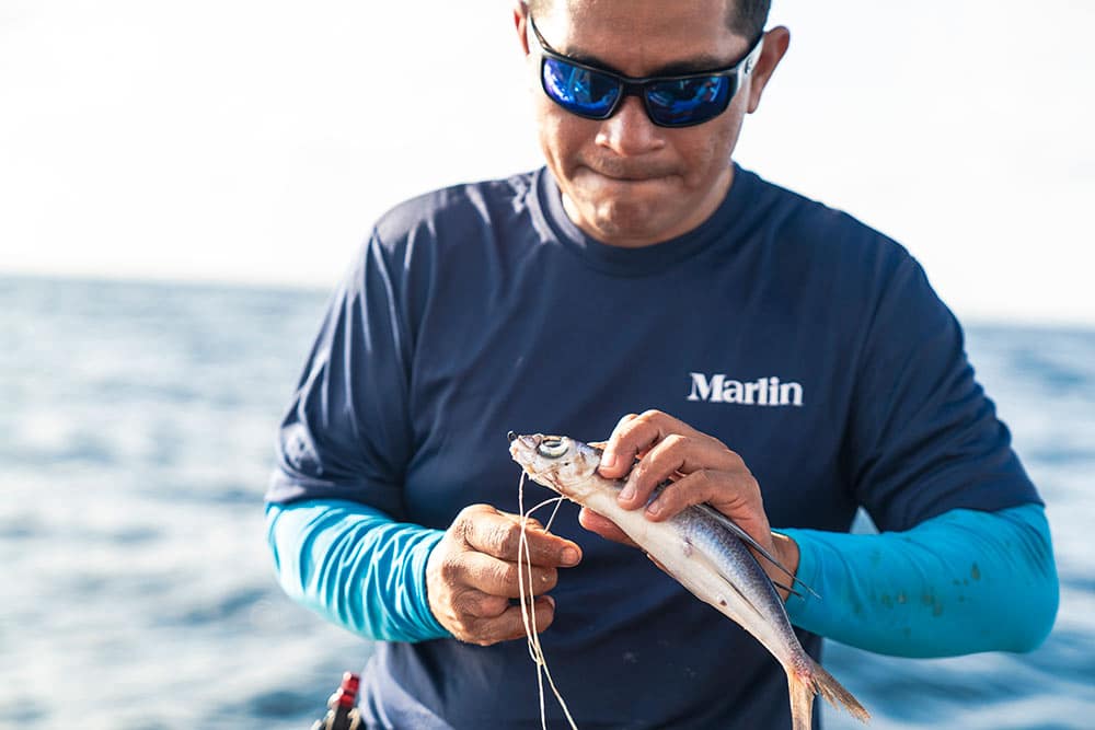 man rigging up bait for marlin fishing
