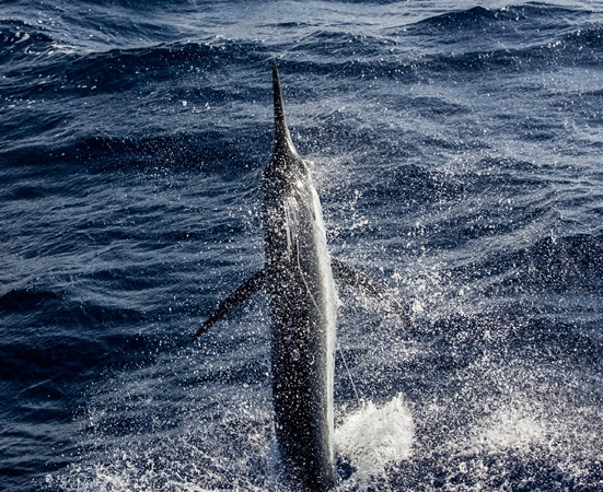 54-ri7u5132.jpg