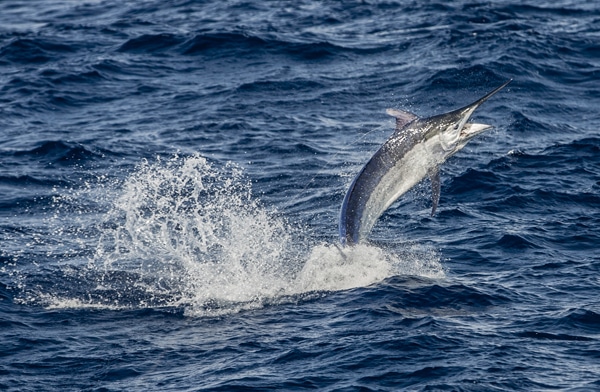 56-ri7u5124.jpg
