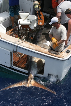 57-ri7u5098.jpg