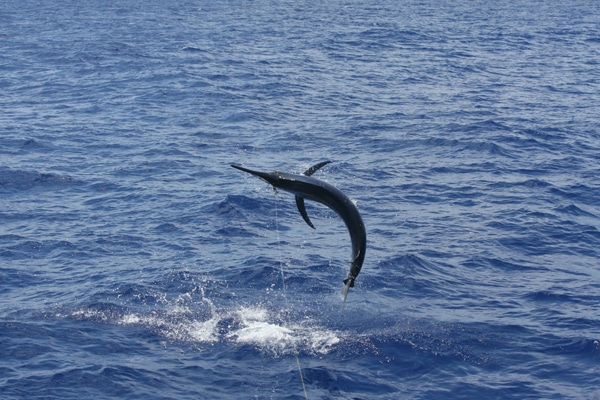 63-ri7u5010.jpg