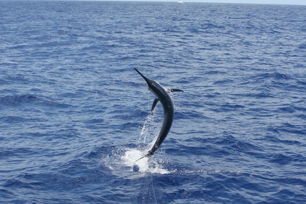 64-ri7u5007.jpg