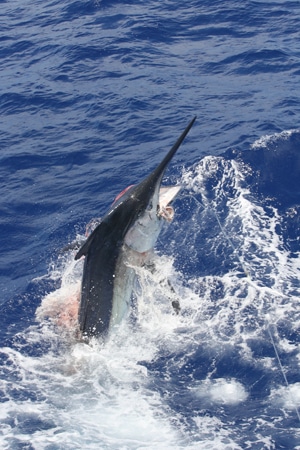 66-ri7u4970.jpg