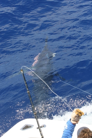 67-ri7u4947.jpg