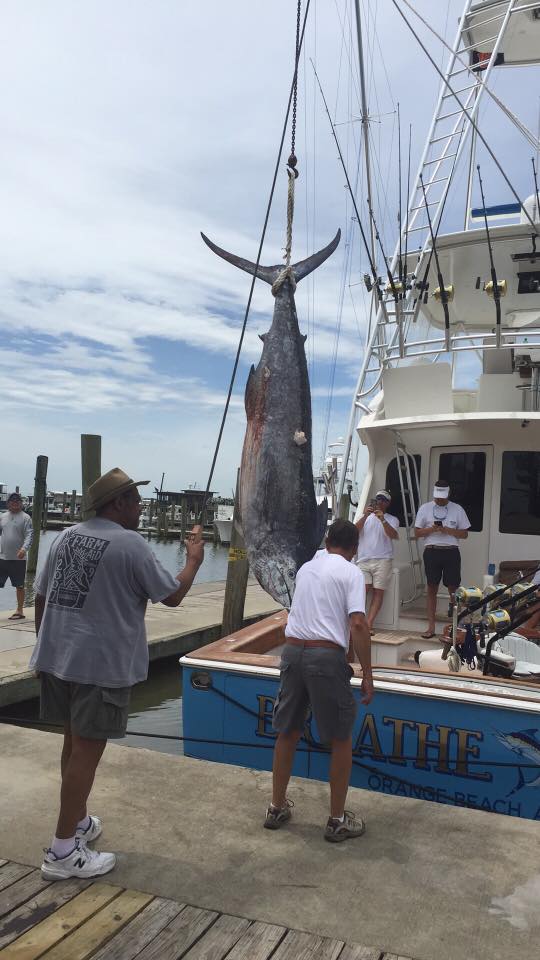 2016 Cajun Canyons Breathe Easy third place
