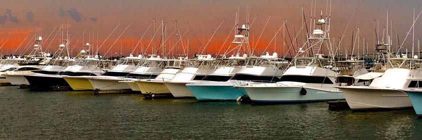 fleet of yachts at the 2018 carolina billfish classic