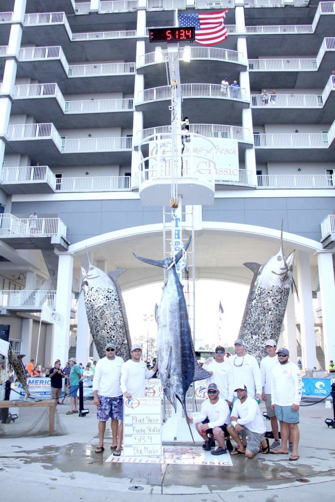 2018 orange beach billfish classic black sheep
