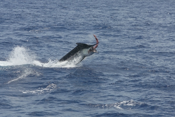 70-ri7u4931.jpg