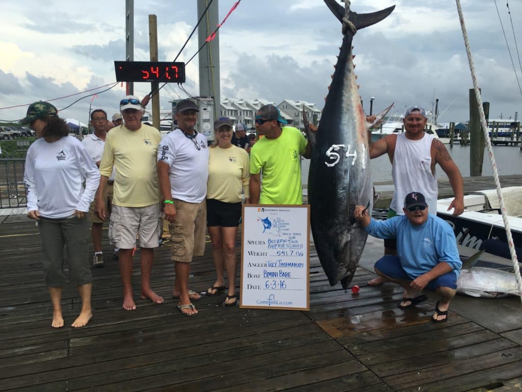 2016 Cajun Canyons Bimini Babe bluefin tuna