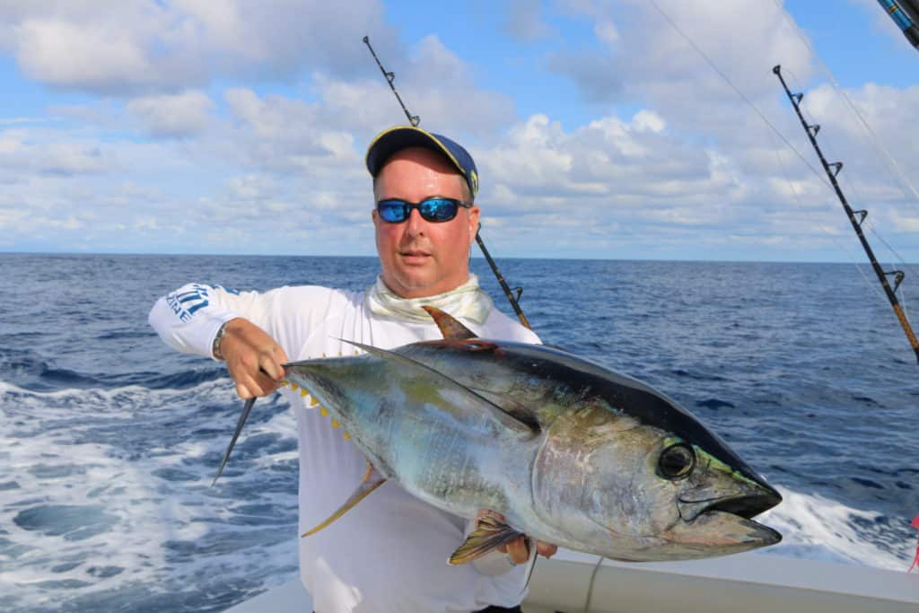 yellowfin tuna