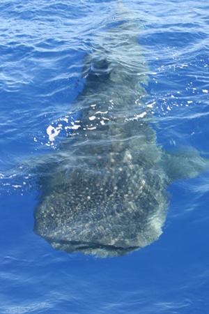 80-ri7u4797.jpg