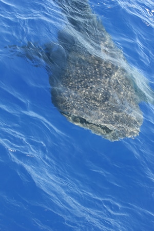 81-ri7u4789.jpg